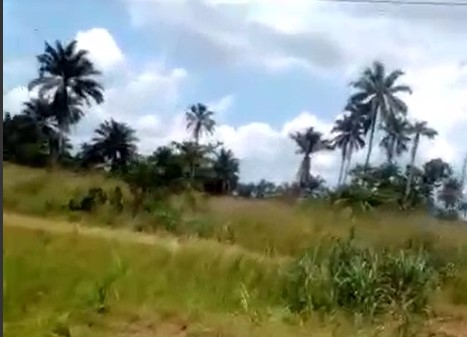 2 Acres of Land @ Egberu Pipeline Road