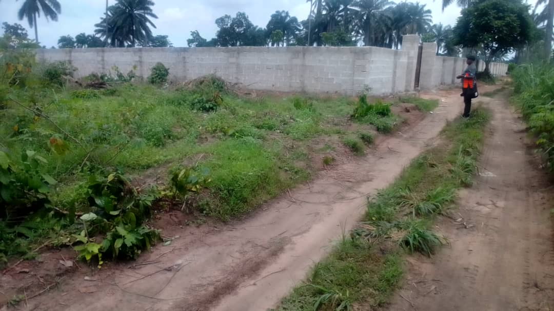 5 Plots Of Land @ Deawoo By Ayam Ndoki Oyigbo Port Harcourt Rivers State